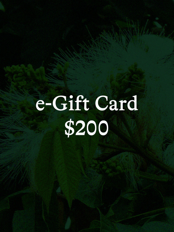 Inga e-Gift Card ($200)