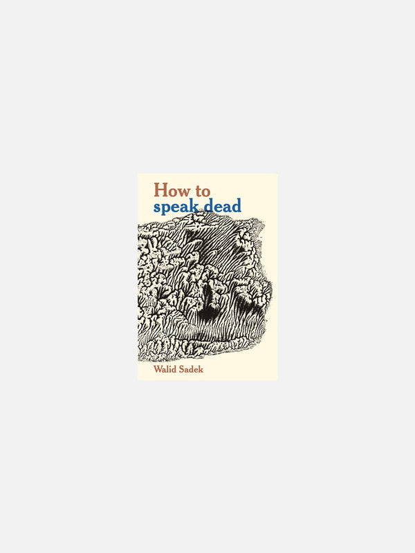 How to speak dead by Walid Sadek