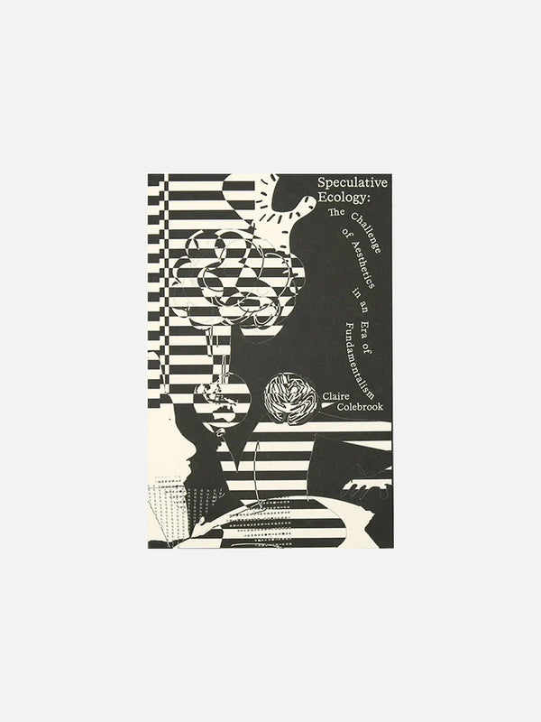 Speculative Ecology: The Challenge of Aesthetics in an Era of Fundamentalism by Claire Colebrook