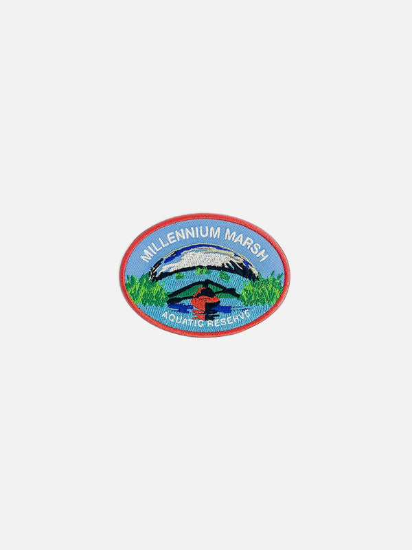 Future Climate Souvenirs of Chicago: Millennium Marsh Aquatic Reserve Patch