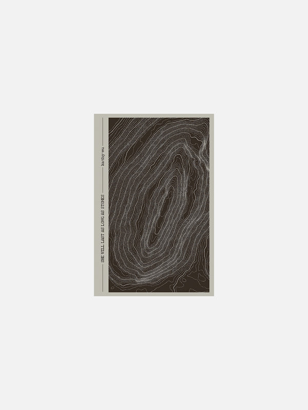 She Will Last as Long as Stones by kathy wu