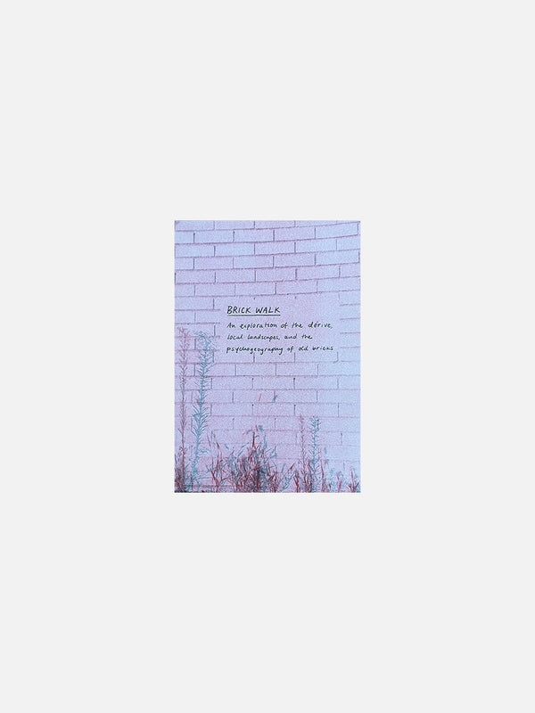 Brick Walk Zine by Dio Cramer