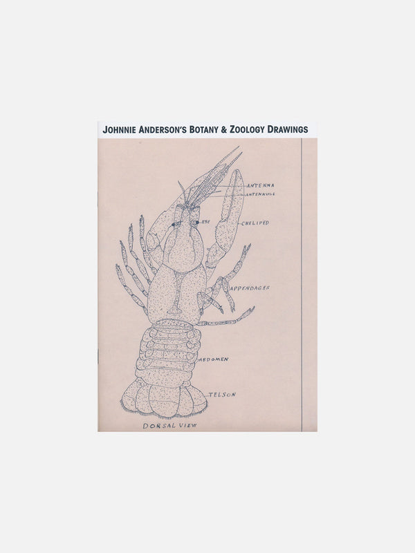 JOHNNIE ANDERSON'S BOTANY & ZOOLOGY DRAWINGS