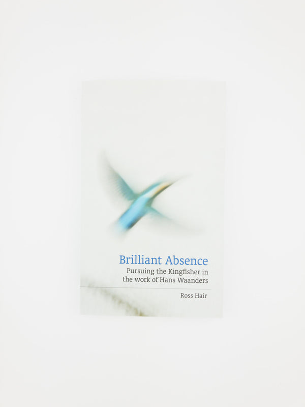 Brilliant Absence: Pursuing the Kingfisher in the work of Hans Waanders