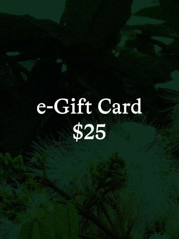 Inga e-Gift Card ($25)